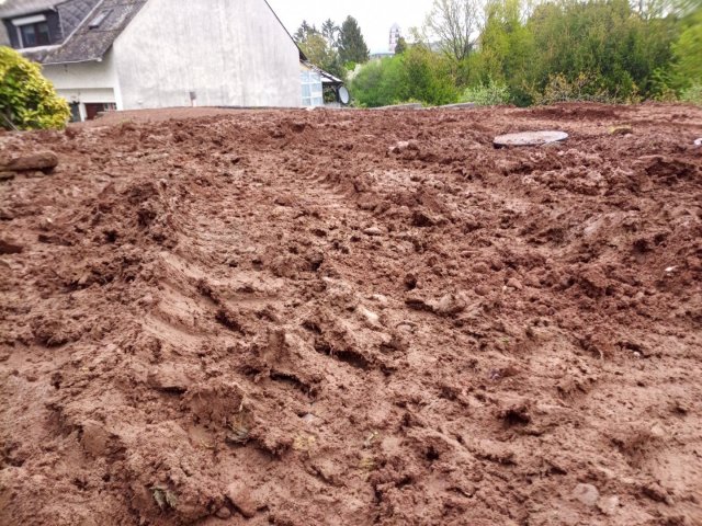 Bild von