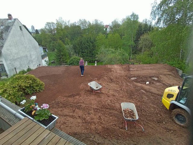 Bild von