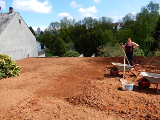 Bild von