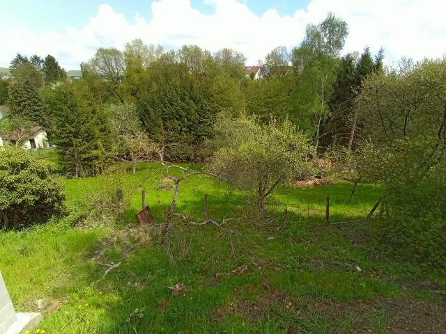 Bild von