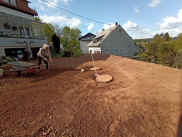 Bild von