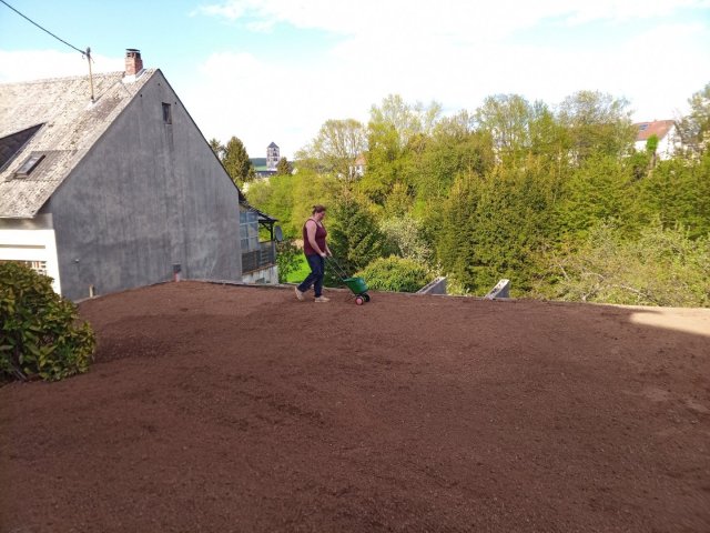 Bild von