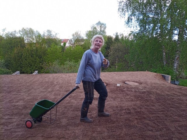 Bild von