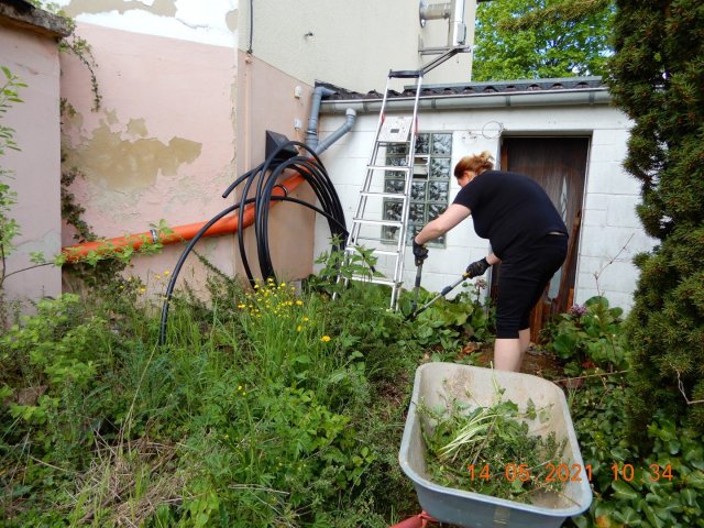Bild von