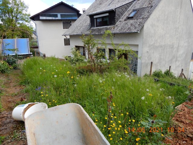 Bild von