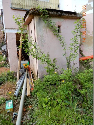 Bild von