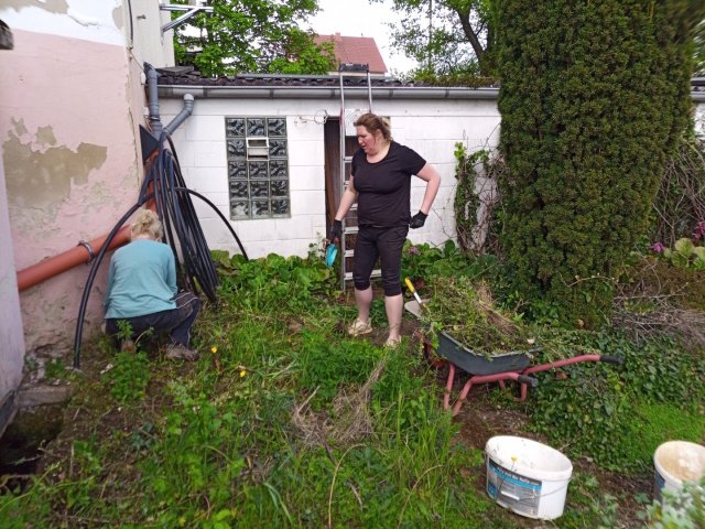 Bild von