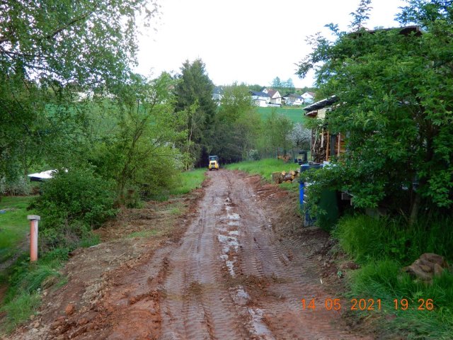 Bild von