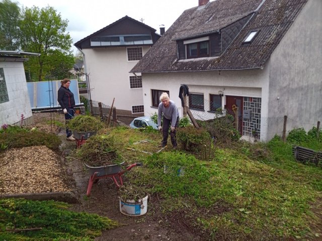 Bild von