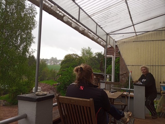 Bild von