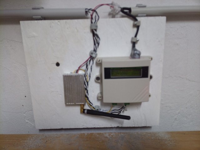 Bild von