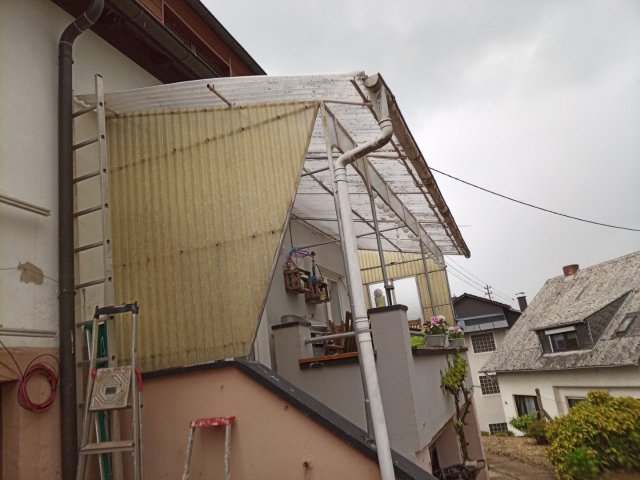 Bild von