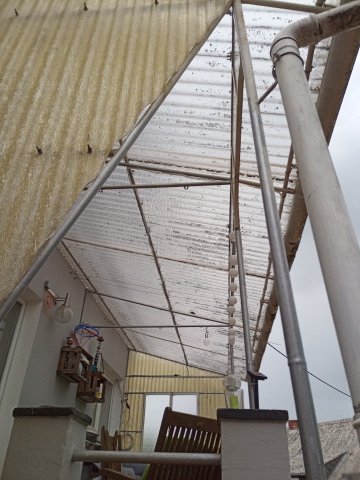 Bild von
