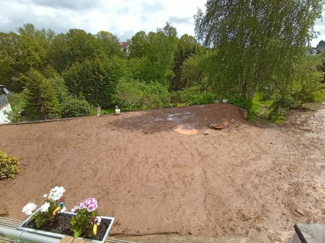 Bild von