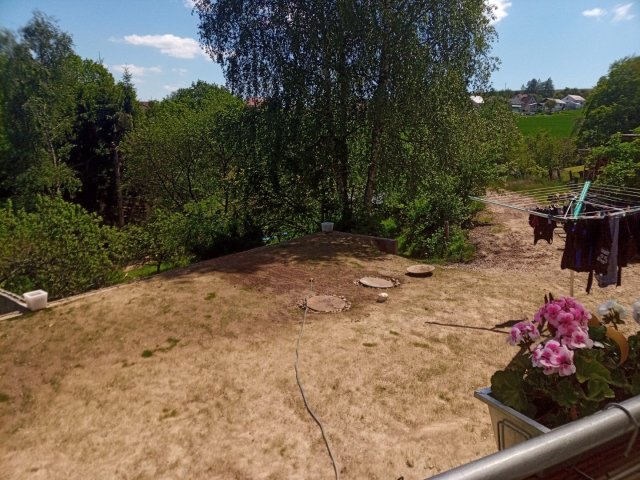 Bild von