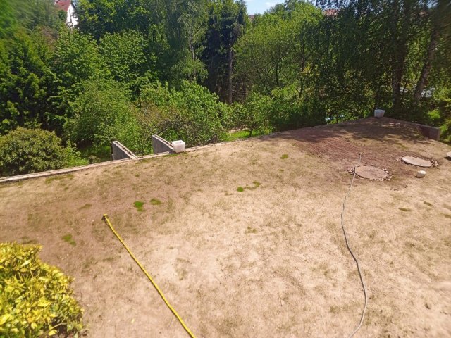 Bild von