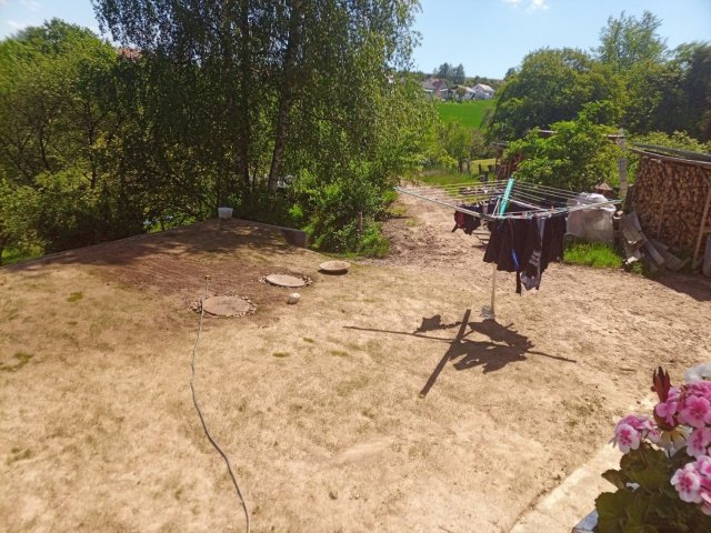 Bild von