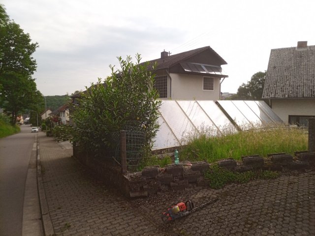 Bild von