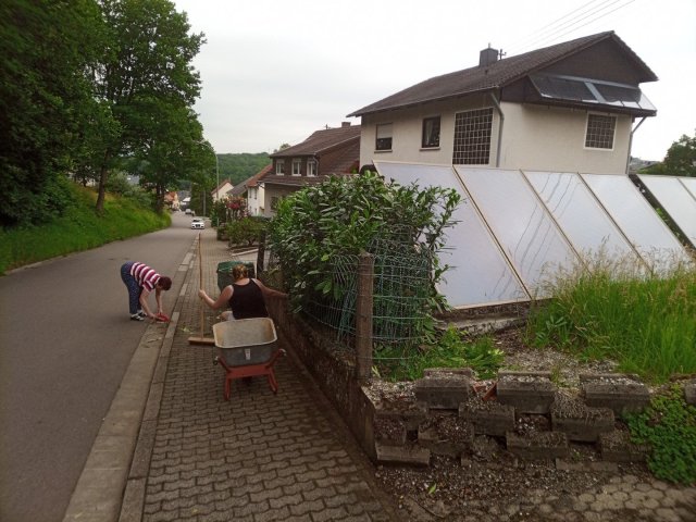 Bild von