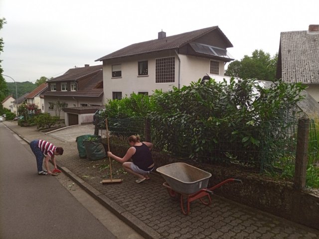 Bild von