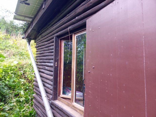 Bild von