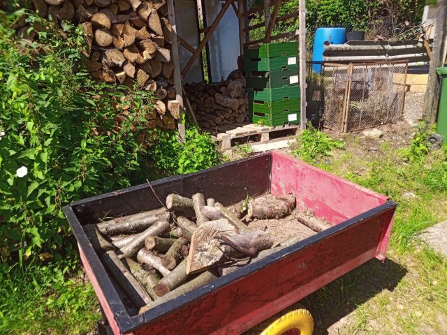 Bild von