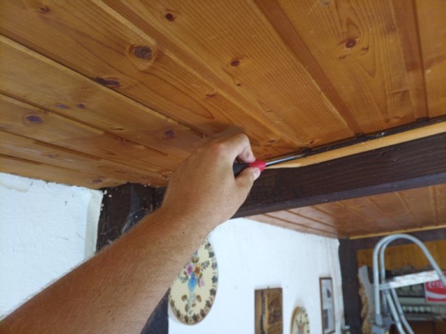 Bild von