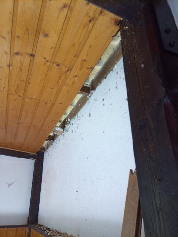 Bild von