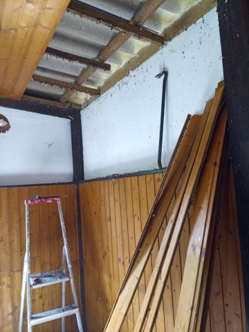 Bild von