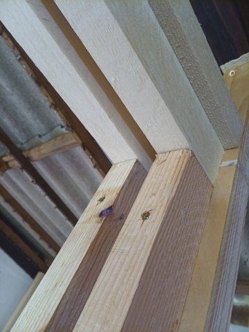 Bild von