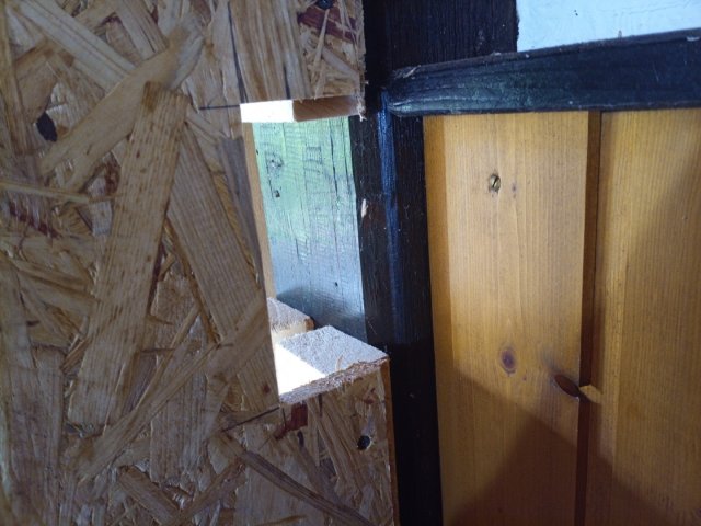 Bild von