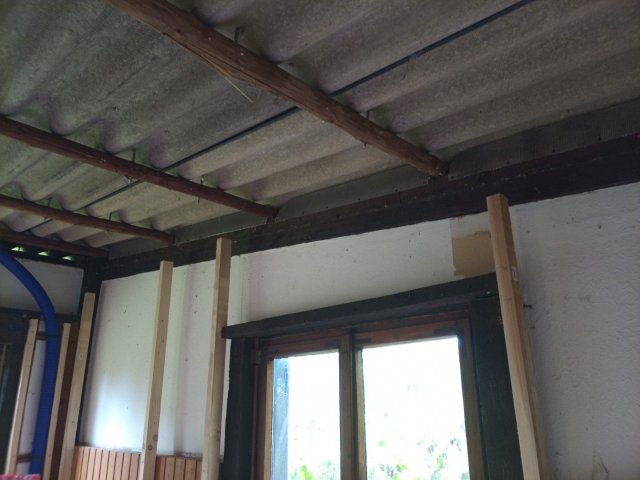 Bild von