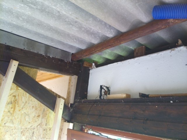Bild von