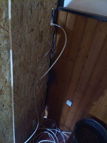Bild von