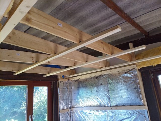 Bild von