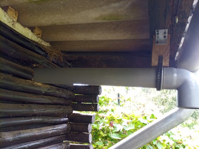 Bild von