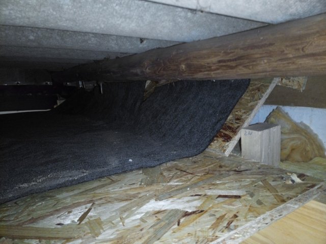Bild von