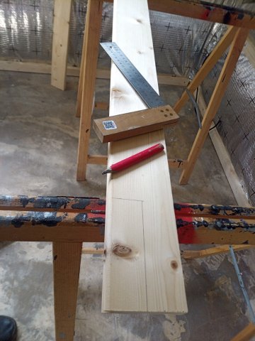 Bild von