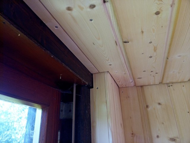 Bild von