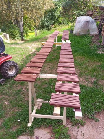 Bild von