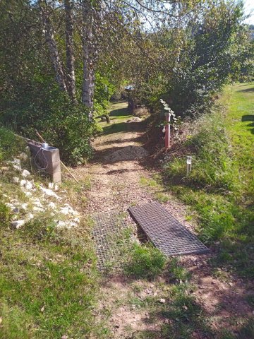 Bild von