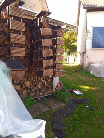 Bild von