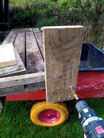 Bild von