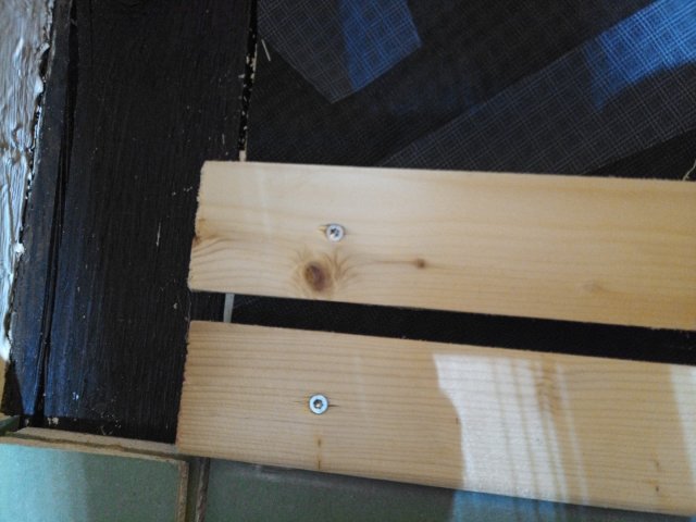 Bild von