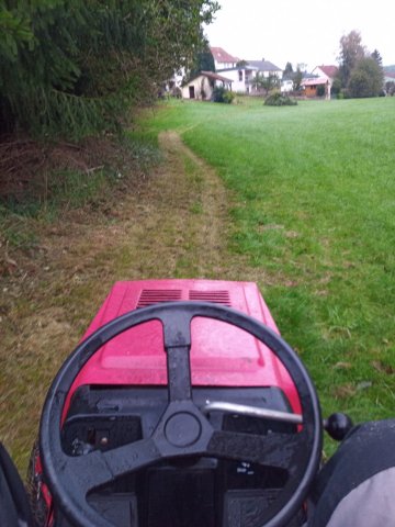 Bild von