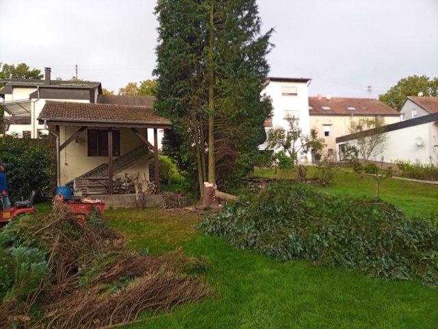 Bild von