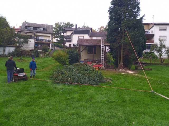 Bild von
