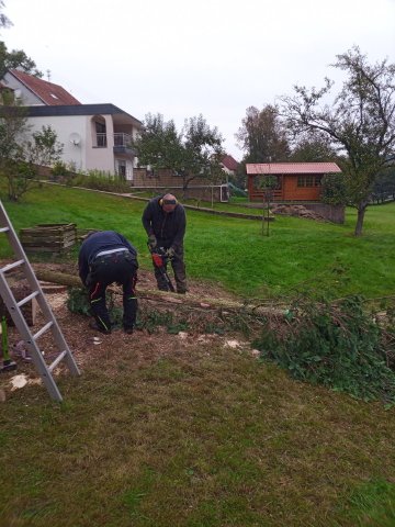 Bild von