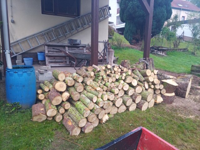 Bild von