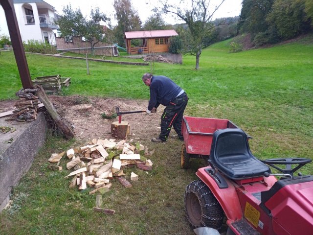 Bild von